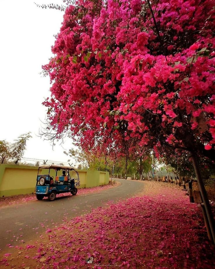 Quiet romantic retreat for couples in Shantiniketan near Kolkata