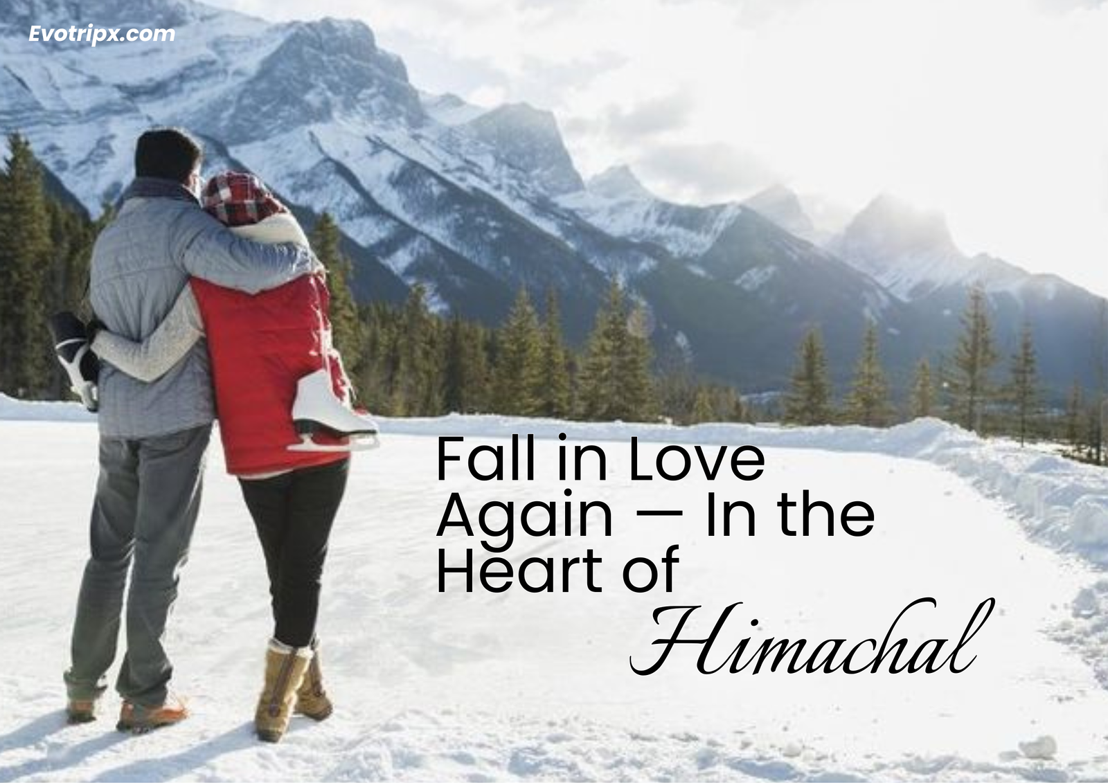 honeymoon couple in Himachal 
