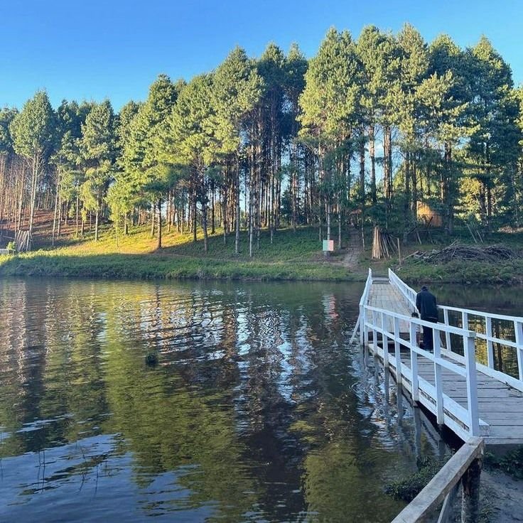 Scenic view of Ziro Valley – one of the most peaceful offbeat destinations in India