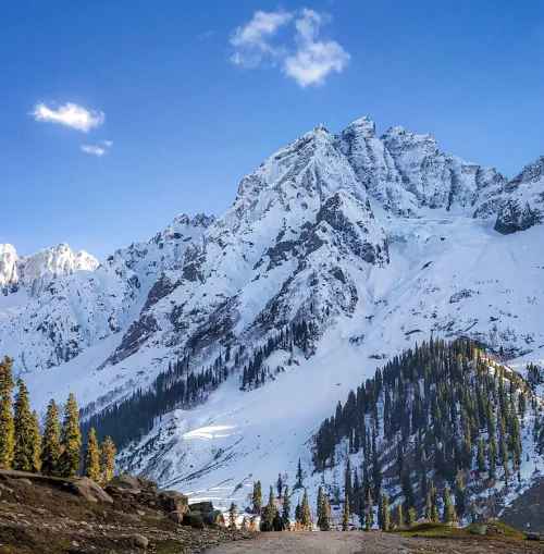 Kashmir Travel Guide: Best Places, Seasons & Tips (2026)