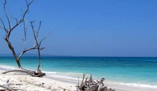 Andaman Travel Guide for First-Time Visitors climate overview