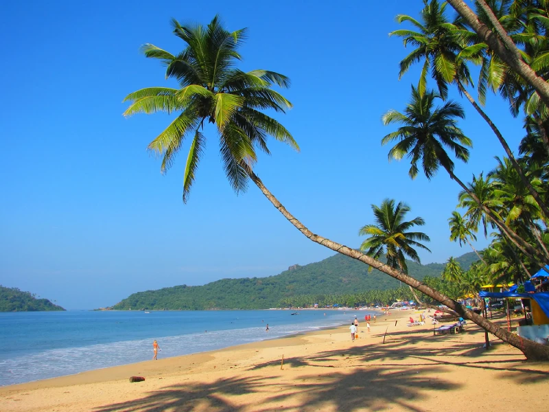 Goa Beyond Beaches spice plantation tour experience