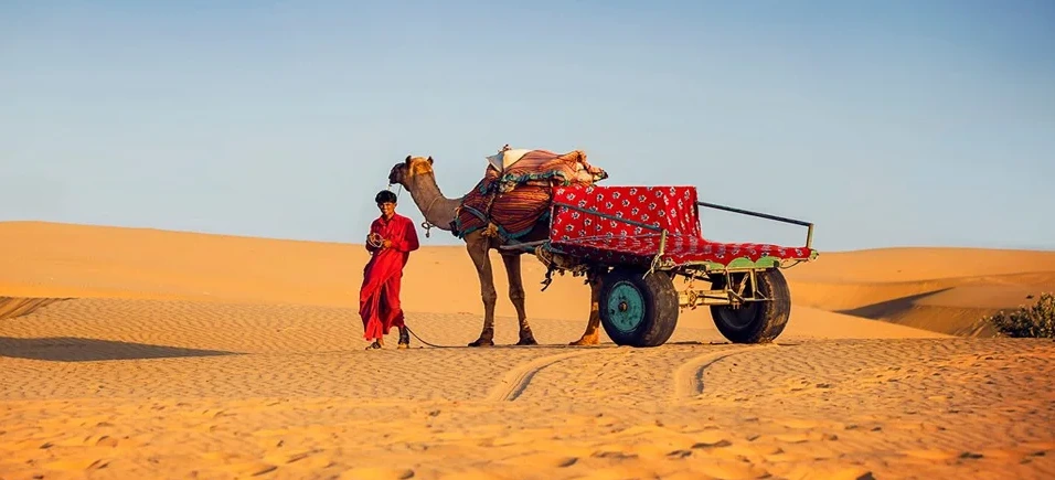 Best Desert Safari Experiences in India