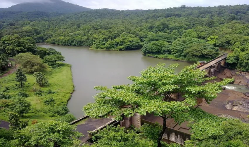 Top Eco-Tourism Destinations in India forest landscape sustainable travel