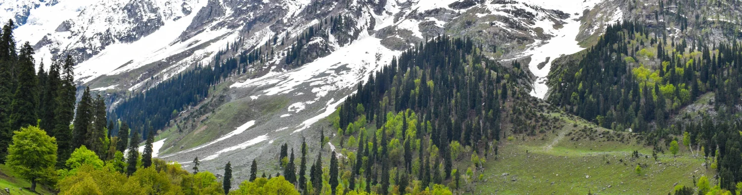 Best Budget Hill Stations in India for Affordable & Scenic Getaways