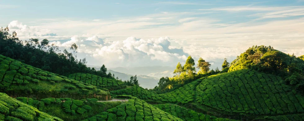 Top Photography Destinations in India scenic landscape