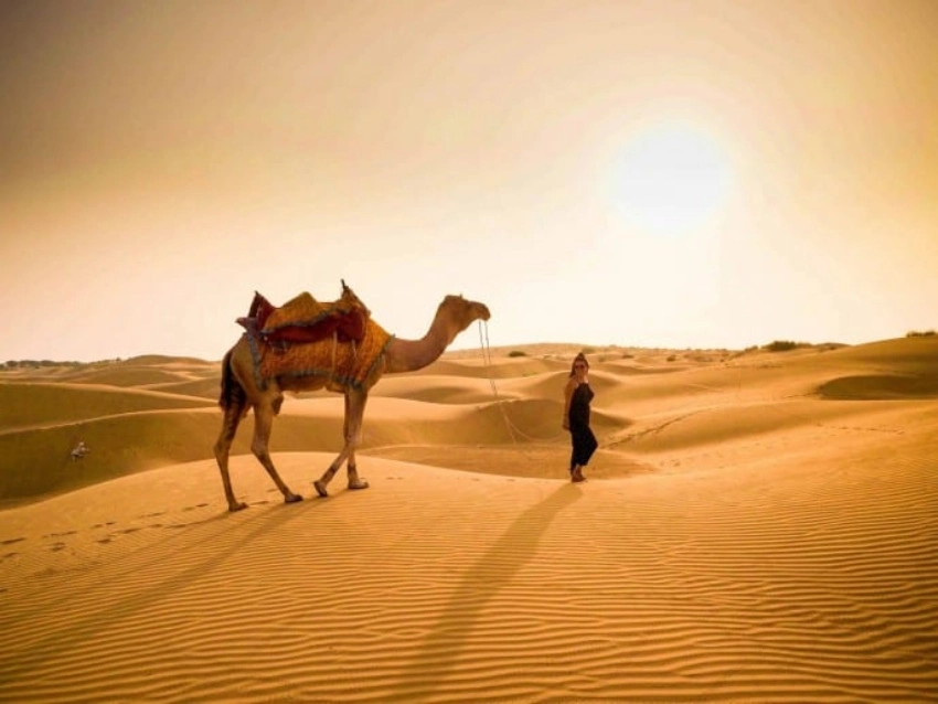 Best Desert Safari Experiences in India sand dunes sunset