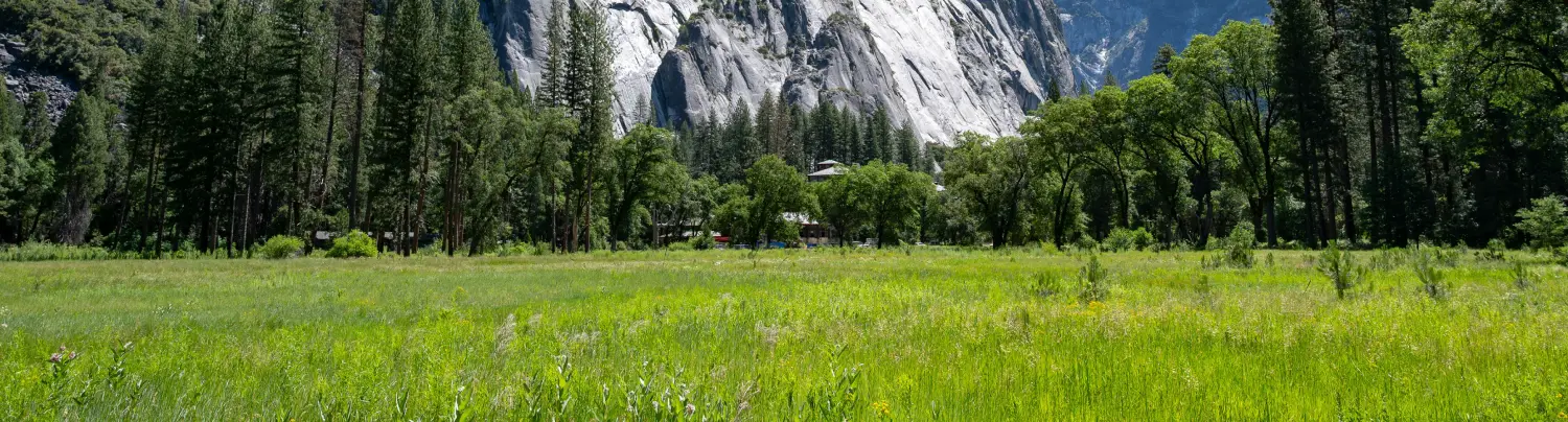 Top Wildlife Sanctuaries in India for Nature Lovers